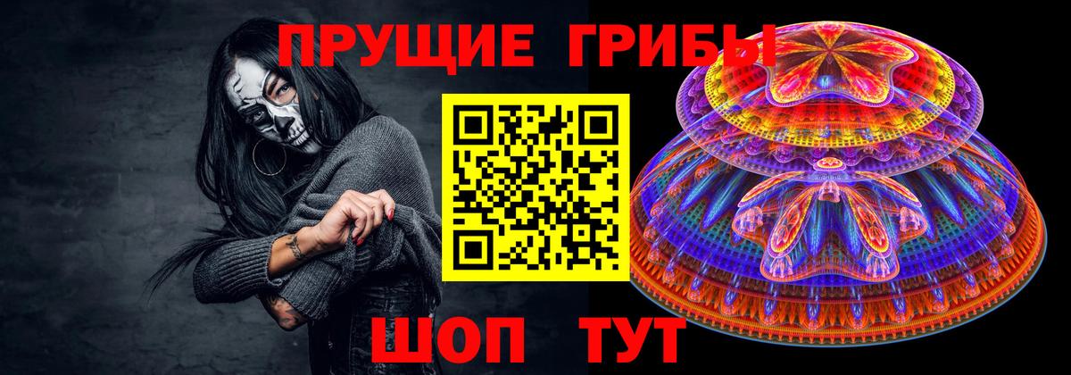 Псилоцибиновые грибы Cubensis Коломна